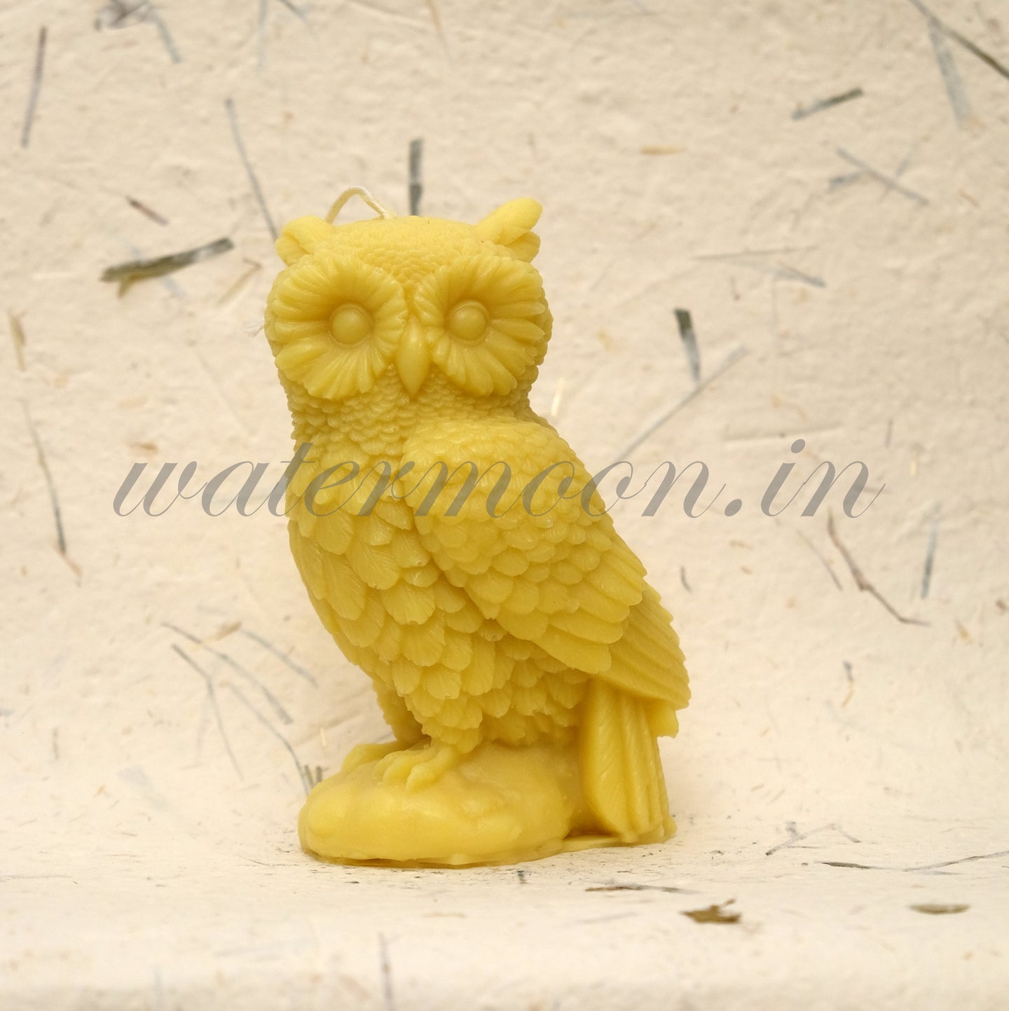 Owls
